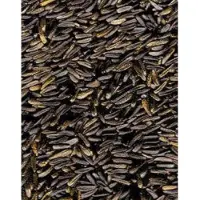 Konacorn Nigerzaad 16 KG