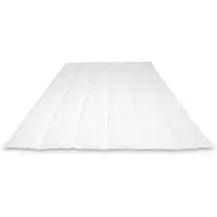 Cassenz REMBRANDT | donzen dekbed | 100% ganzendons | Zomer | warmteklasse 4 - 155/220cm - 230gr.