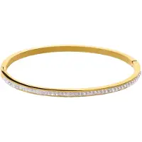 Lucardi - Dames Stalen goldplated bangle small met kristal - Armband - Staal - Goudkleurig - 62 mm