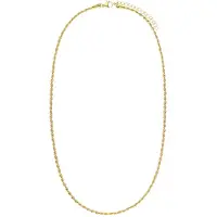 Lucardi Dames Stalen goldplated ketting koord 2,5mm - Ketting - Staal - Goud - 60 cm