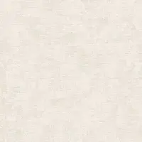 Dutch Wallcoverings - Vliesbehang - Renaissance - Needle Point Plain White - RE521061