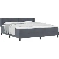 vidaXL Boxspringbed met hoofdeinde, donkergrijs, 200 x 180 cm, fluweel