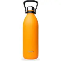 Qwetch Geïsoleerde fles Titan