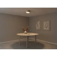Artdelight Plafondlamp Montana Ø 15 cm champagne
