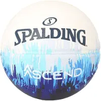 Spalding Ascend Basketbal