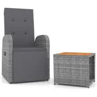 vidaXL 2-delige loungeset voor de tuin, grijs, van polyrotan en massief acaciahout