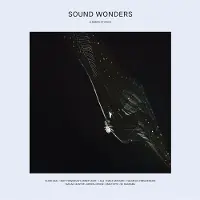Konkurrent Various Artists - Sound Wonders: A Series of Epics (LP) (Limited Edition)