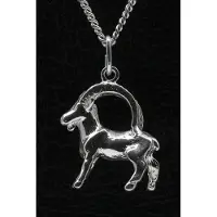 MOOYE ® - Collectie Zilveren Sterrenbeeld Steenbok ketting hanger - groot