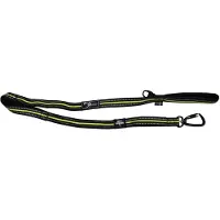 Axaeco 4 Season Elastic Leash