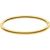 Lucardi Dames Stalen goldplated bangle - Armband - Staal - Goud - 58 dm