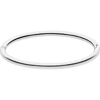 Lucardi Dames Stalen bangle - Armband - Staal - Zilver - 62 dm