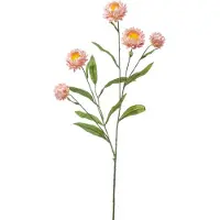 Hortus Kunst xerochrysum spray pink, 70 cm