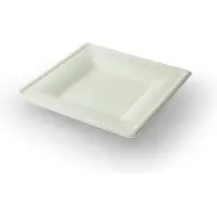 Sier 40 st. 40st. Mondial suikerriet bord vierkant - Medium