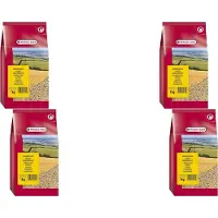 Versele-Laga Kanarie Witzaad - Vogelvoer - 4 x 1 kg