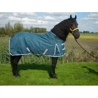 GPD Buitendeken de luxe 450gr petrol groen paardendeken - maat 195