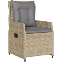 vidaXL 9-delige Tuinset met kussens poly rattan beige