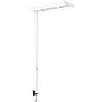 MAUL MAULjuvis 8258702 LED-tafellamp LED Lichtbron vervangbaar door elektricien 64 W Wit