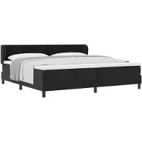 vidaXL Boxspring bed met hoofdeinde Zwart 200 x 200 cm Fluweel