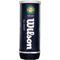 Wilson Tennisbal Roland Garros All Court (3-Tin)
