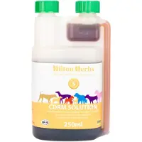 Hilton Herbs CDRM Solution for Dogs