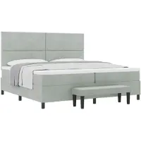 vidaXL Boxspring bed met hoofdeinde Lichtgrijs 200 x 200 cm Fluweel