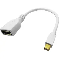 Roline DisplayPort Adapter, DP Female - Mini DP Male