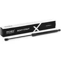 RIDEX 219G0048 Gasveer achterklep