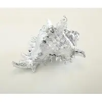 Boltze Schelp - Zeefruit - Decoratie - 2 set - zilver - 14 cm
