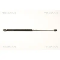 TRISCAN 8710 24237 Gasveer achterklep