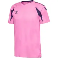 Hummel Functioneel shirt 'Core 2.0' braam / lichtroze