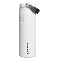 Stanley The IceFlow Bottle Flip Straw 2.0 | 0,7L - Dried Pine