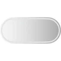 vidaXL LED-badspiegel, ovaal, 100x45 cm