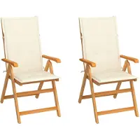 vidaXL Inklapbare stoelen 2 st met crèmekleurige kussens