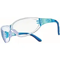MSA The Safety Company MSA Perspecta 10045517 veiligheidsbril