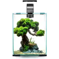 Aquael Shirmp D And N Compleet Aquarium 19l