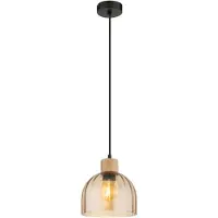 Globo Hanglamp Swanson zwart Ø 20cm