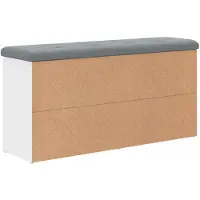 vidaXL Schoenenbank Wit 102x32x50 cm Bewerkt Hout