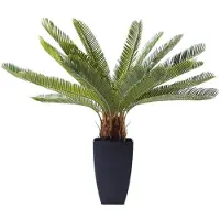 Kare design Kunstplanten Cycas 78cm
