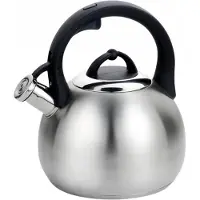 Maestro Mr-1311 3.0l Theepot