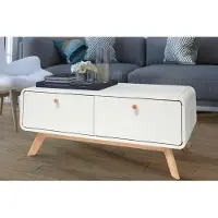 DOMUS Cassie|Lowboard met 2 lades in spaanplaat wit