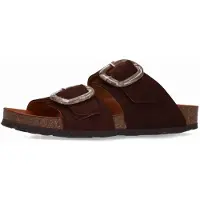 Manfield Muiltjes bruin