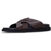 Manfield Muiltjes bruin