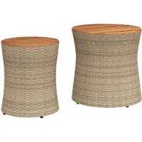 vidaXL Tuinbijzettafels 2 st met houten blad poly rattan beige