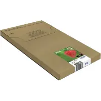 Epson 29XL Cartridges Combo Pack