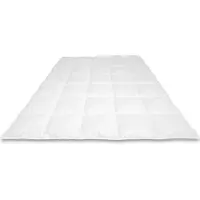Cassenz DA VINCI Dekbed | 100% Mazurische ganzendons | Tencel/zijde tijk | Herfst/Lente - warmteklasse 3 - 155/200cm - 420gr.