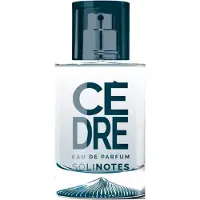 SOLINOTES ZEDER Eau de Parfum, 50 mlGeurnoten