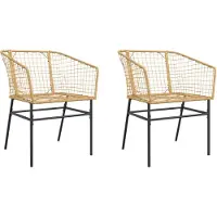 vidaXL Tuinstoelen, 2 stuks, bruin, polyrotan