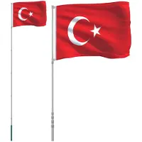 vidaXL Turkische vlag met mast, 5,5 meter, aluminium