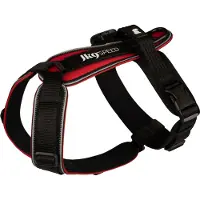 JULIUS K-9 Speed tuig, kleur: rood, maat: M