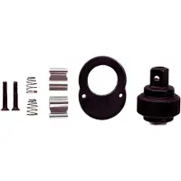 Ks Tools 914.3895 Reparatieset, universele ratel